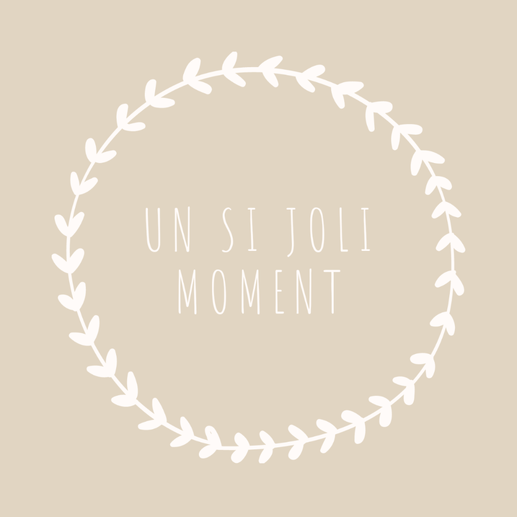 Logo Un si joli moment