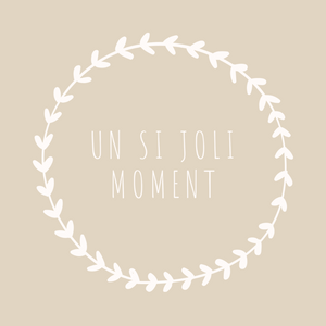 Logo Un si joli moment